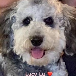 Meet your Posher, Marybeth